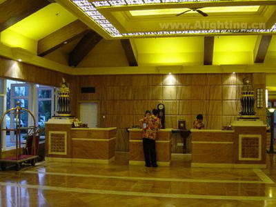 广东经济超沙特 LED照明灯具劳苦功高 - 新闻