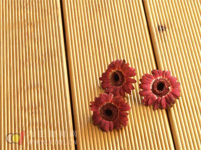 北美高端地板受消费者喜爱 发展前景好 - 新闻