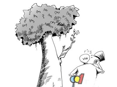 佛山照明新能源之路“无心插柳柳成荫” - 新闻中心 - 九正建材网(中国建材第一网)