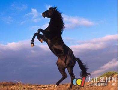 方法对了 LED中小企业也可以成为黑马