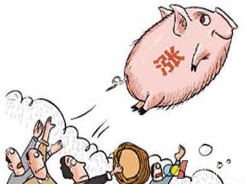 地板市场产品涨价背后有什么？