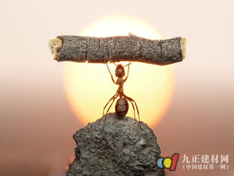 竞争如此激烈 地板企业如何抗压？