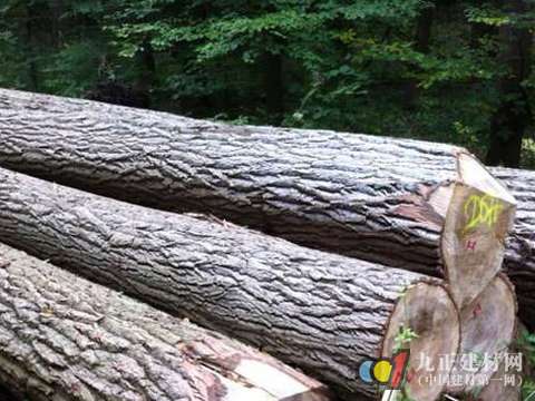 中国经济发展迅猛 高端木材家具成主流