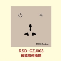 ܼҾ-RSD-ZJ003 ǽ