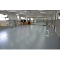 舞蹈教室PVC无划痕地板