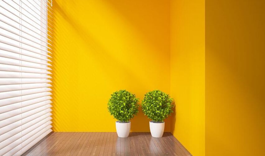 ľ