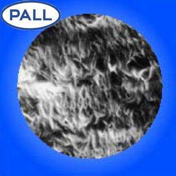 Pall玻璃纤维滤膜