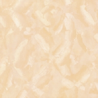 金和陶瓷砖-星空石系列抛光砖