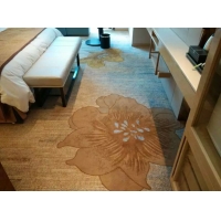 摩恩地毯办公地毯设备公司地毯清洗