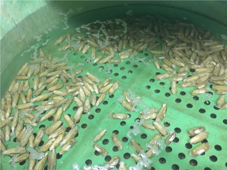 超市海鲜暂养池的制作_海鲜池_海鲜暂养池