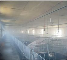 养牛场牛棚喷雾降温消毒杀菌系统