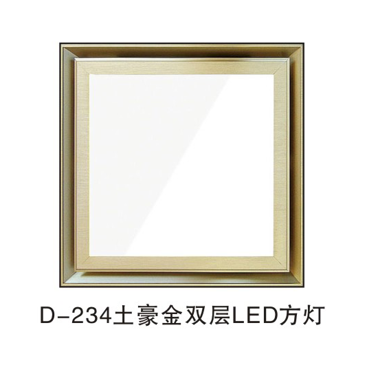 D-234土豪金�p��LED方��