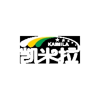  重庆木工胶｜重庆凯米拉科技有限公司官网