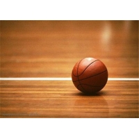 济南篮球馆木地板 枫木实木篮球场地木地板 - 