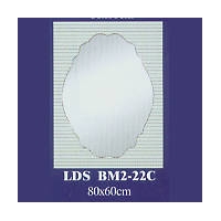 LDS BM2-22C
