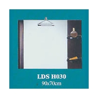 LDS H030