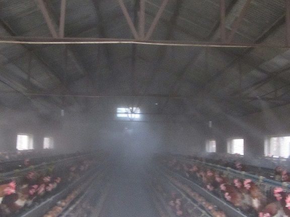 蛋鸡舍夏季喷雾降温 鸡舍降温机产品图片,蛋鸡
