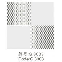 컨ϵ-G 3003