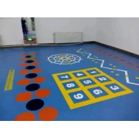 360私教功能PVC运动地板地胶