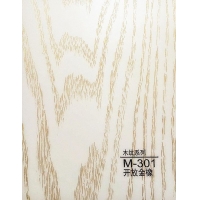 ǽ-ľά M301