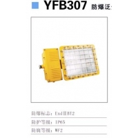 YFB307