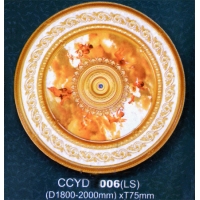 CCYD 006LS