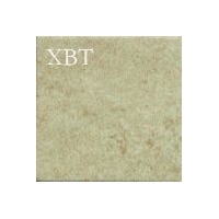 XBT-KCCƬϵ-XTN2401C
