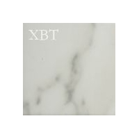 XBT-KCCƬϵ-XTN2201C