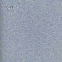 XBT-CYC-Timelessϵ-XET323-5