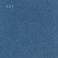 XBT-CYC-Asmartϵ-XAF24