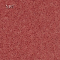 XBT-CYC-Asmartϵ-XAF601