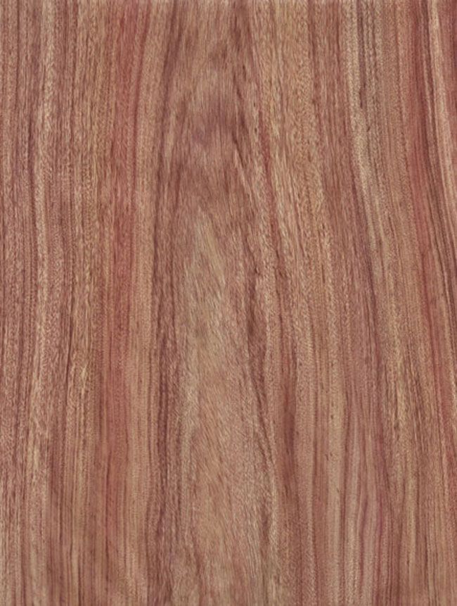 檀香木木纹特征图片