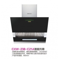 CXW-238-C21A