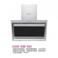CXW-238-C91