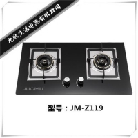 JM-Z119