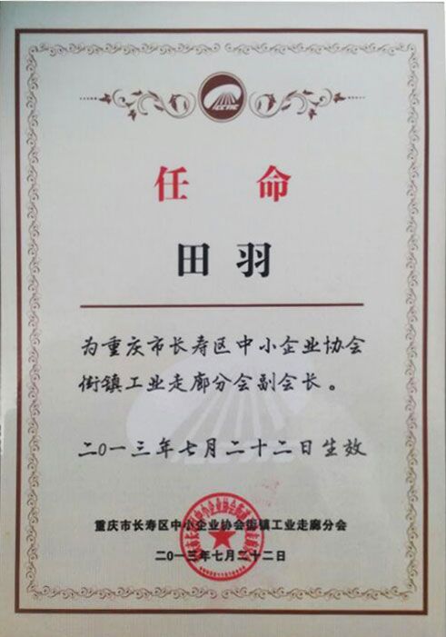 田羽为中小企业协会副会长 荣誉证书 证书编号 证书名称 田羽为中小