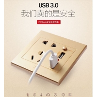 ȿز ˫USBײ USB Ʒ86