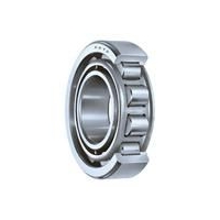 SKF 6203-RS16203-RS1