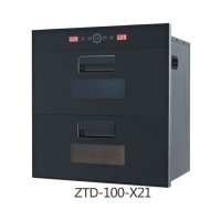 ZTD-100-X21
