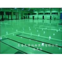  Changchun anti-corrosion floor at low price